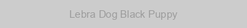 Lebra Dog Black Puppy